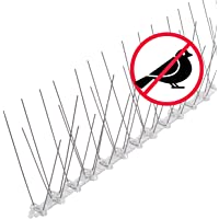 riijk Sistema Anti Pájaros de Acero Inoxidable - 3 Metros de Púas Anti Palomas y Anti Gatos - Premontado